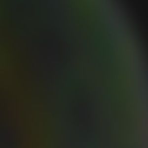 Meet your Posher, Hunter